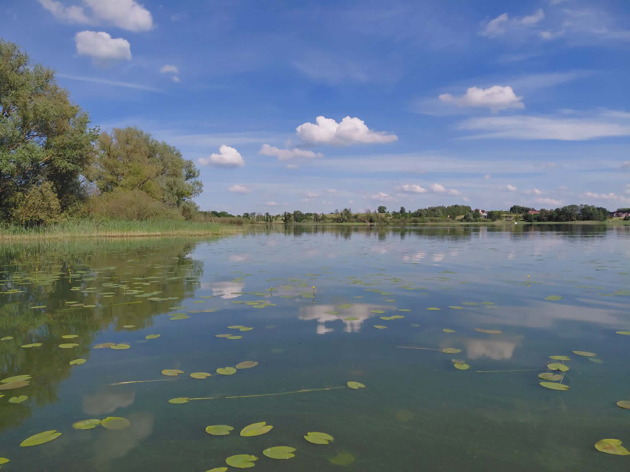 Pomost 2