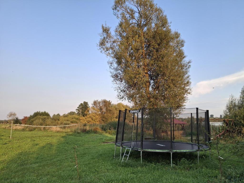 Trampolina
